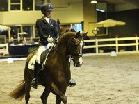 Eyecatcher 201113_1968